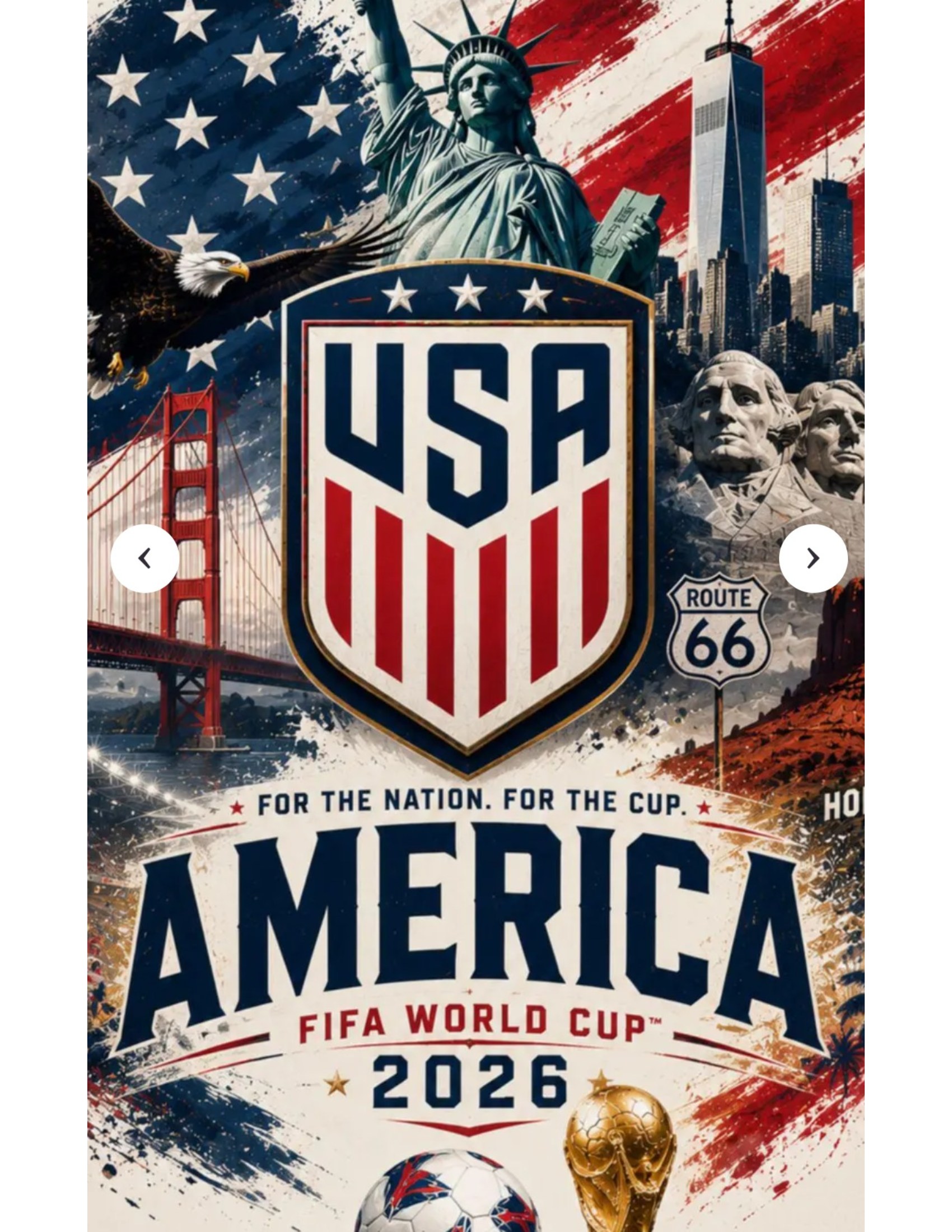 World Cup - USA vs Bosina