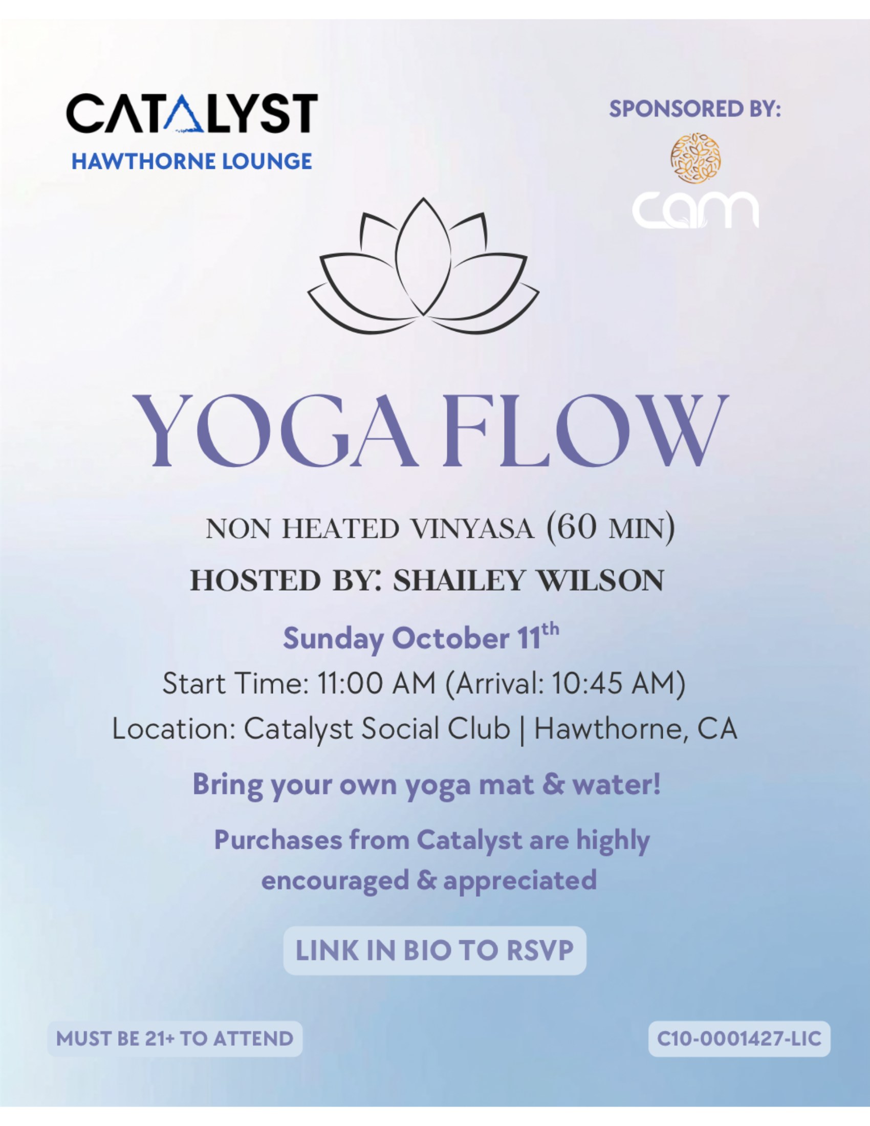 Mindful Sunday Kismetic Motion 